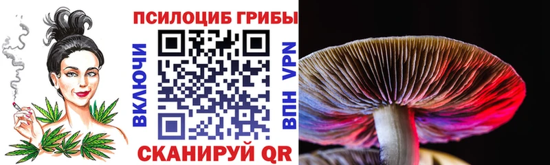 Галлюциногенные грибы MAGIC MUSHROOMS  OMG маркетплейс  Южа 